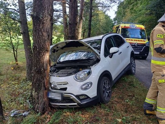 78-latek kierując Fiatem w Kosobudach w gm. Zwierzyniec zasnął za kierownicą i uderzył w rosnące na poboczu drogi drzewo.