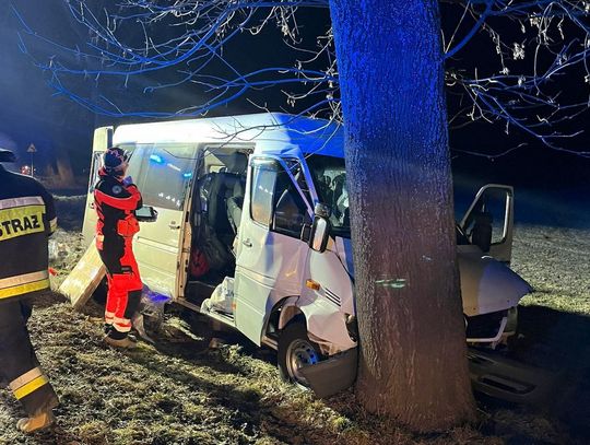 Gmina Uchanie: Bus uderzył w drzewo. W aucie było dwoje dzieci [ZDJĘCIA]