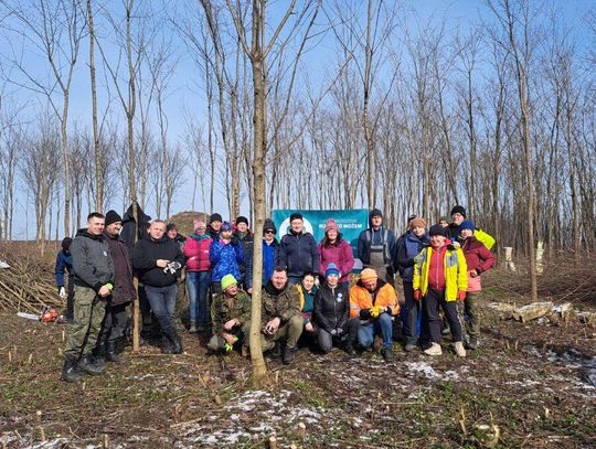 Stowarzyszenie RCM Ulhówek i Centrum Kultury w Ulhówku organizują sprzątanie cmentarza w Oserdowie.