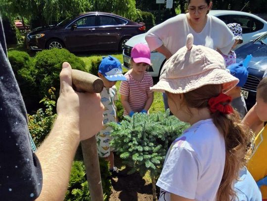 Gmina Zamość: Teren wokół szkoły zamienił się w zieloną przestrzeń pełną drzew, krzewów i róż