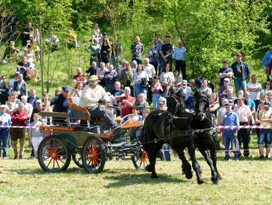 21 maja już po raz siódmy na grabowieckich błoniach odbyły się Zawody Zaprzęgów Konnych.