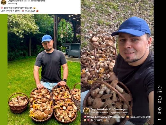 Grzybiarz z Wielkopolski pokazał cztery kosze borowików.