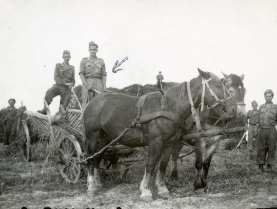 Historia: 75. rocznica Akcji H-T. Jak Stalin "prostował" granicę Polski? Historia: 75. rocznica Akcji H-T. Jak Stalin "prostował" granicę Polski?