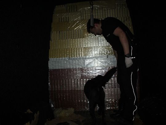 Hrebenne: Rekordowy przemyt. Papierosy wywęszył Graf