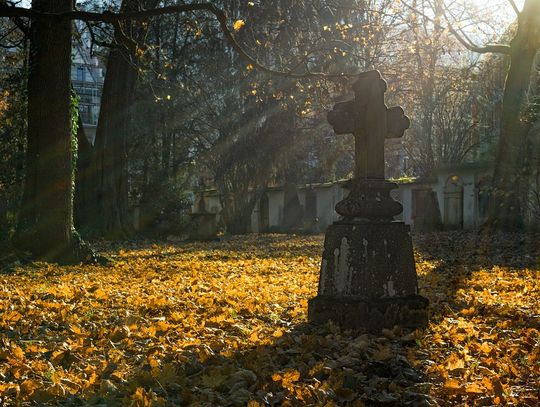 Hrubieszów: Bardzo udana kwesta na cmentarzu