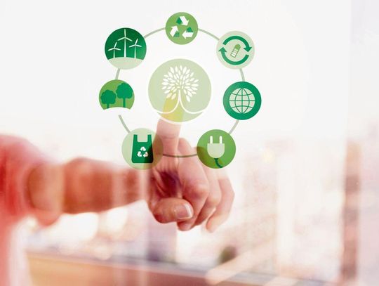 W Hrubieszowie trwają prace nad projektem dostosowującym miasto do przewidywanych zmian klimatycznych.