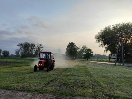 Hrubieszów intensywnie walczy z komarami i meszką