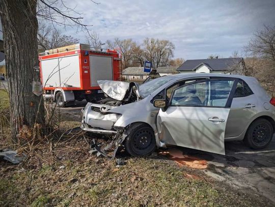 Auto uderzyło w przydrożne drzewo. W wypadku zginął 37-letni mieszkaniec Hrubieszowa.