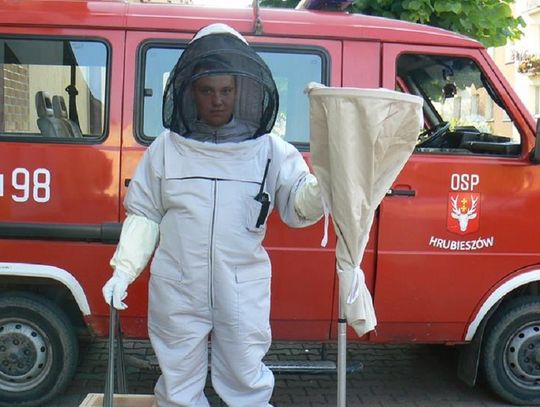 Hrubieszów: Strażacy stają do walki z owadami (ZDJĘCIA)