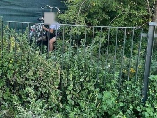 Kamery zarejestrowały jak 20-latek z Hrubieszowa chowa skradziony rower w zaroślach.