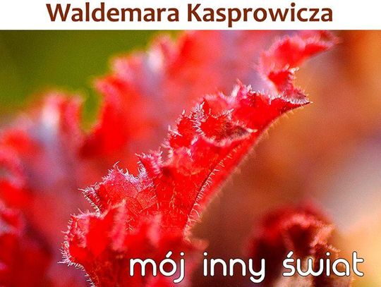 Inny świat Kasprowicza na wystawie w Hotelu Zamojskim