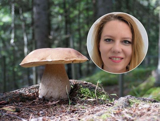 Jak na grzyby to tylko dobrze znane. Ekspertka radzi, jak nie pomylić kani z muchomorem