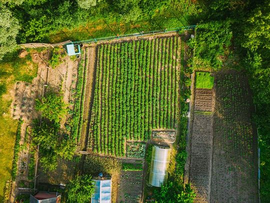 Jak najkorzystniej ustawić dom na działce?
