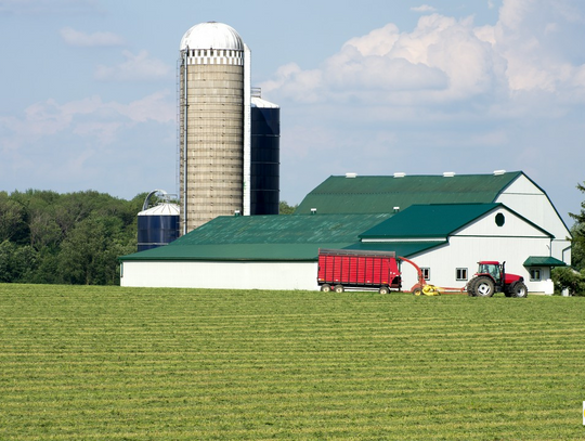 Jak wygląda agroturystyka w Lubelskiem?
