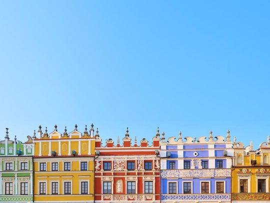 Jak wygląda rynek pracy w Zamościu?