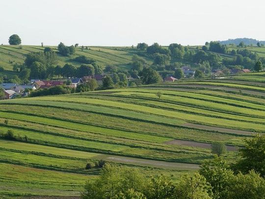 Jak znaleźć numer ewidencyjny działki bez wychodzenia z domu?