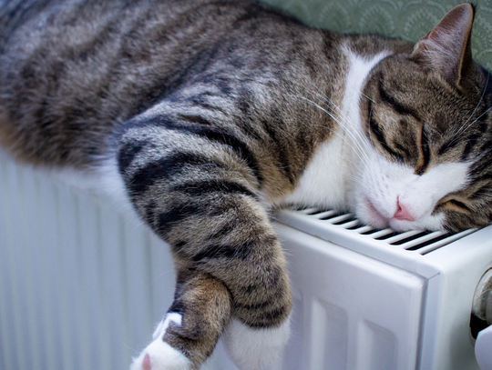 Bon ciepłowniczy ma pomóc w pokryciu część kosztów ogrzewania w blokach, kamienicach i mniejszych miejscowościach.