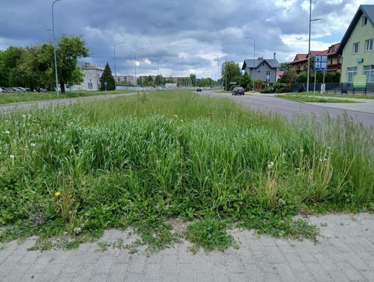 Ul. Wyszyńskiego w Zamościu. Zdjęcie wykonano 4 maja.