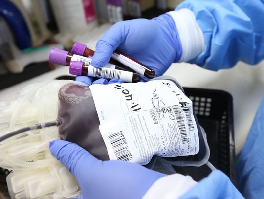 Komarów-Osada: Oddali krew, żeby ratować czyjeś życie