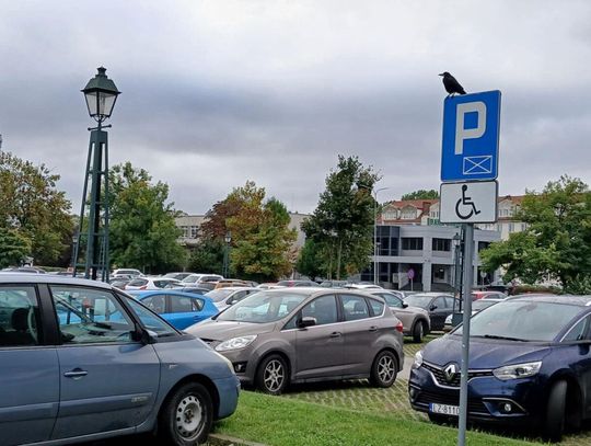 Koniec z darmowym parkowaniem w Zamościu! Ile zapłacą kierowcy? Za darmo można było parkować w Zamościu od początku roku, ale niebawem to się skończy.