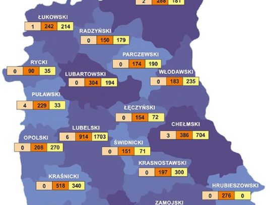 Koronawirus na Lubelszczyźnie. Jaka jest sytuacja? (MAPA)