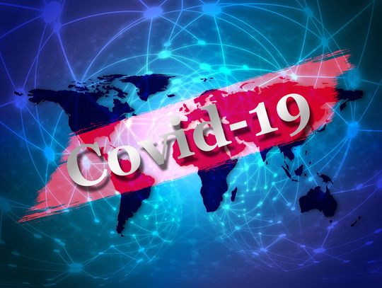 Koronawirus w Polsce. 17 nowych przypadków