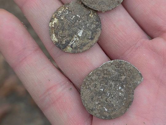 Krótka wyprawa w teren okazała się wyjątkowo owocna dla poszukiwaczy z Wolicy. Podczas jednego z wyjść natrafili oni na cztery srebrne monety z czasów Zygmunta III Wazy.