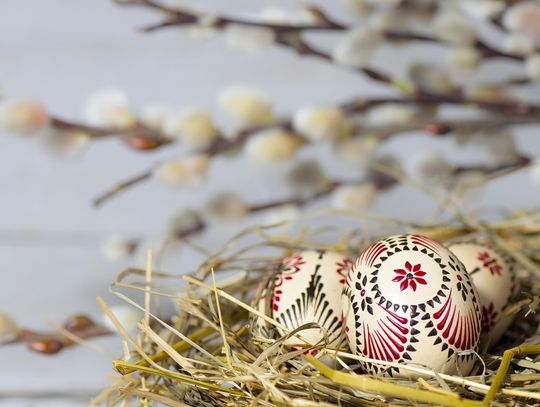 Powiat Tomaszowski, Gmina Bełżec oraz Parafia pw. Matki Bożej Królowej Polski w Bełżcu zachęcają do wzięcia udziału w Powiatowym Konkursie na Palmę Wielkanocną.