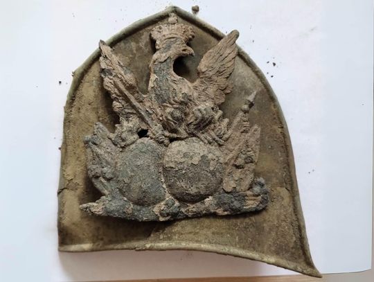 Orzełek znaleziony na Lubelszczyźnie.