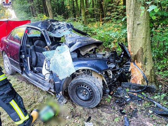 Lubelskie. Uderzył w drzewo. Zginął na miejscu