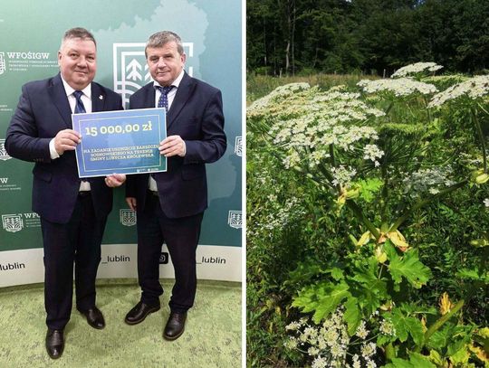 Burmistrz Marek Łuszczyński trzyma symboliczny czek na zwalczanie barszczu w swojej gminie. Roślina będzie koszona i pryskana specjalnymi środkami.