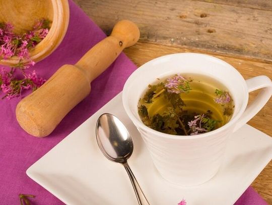 Macierzanka - dlaczego warto pić napar z tej rośliny?