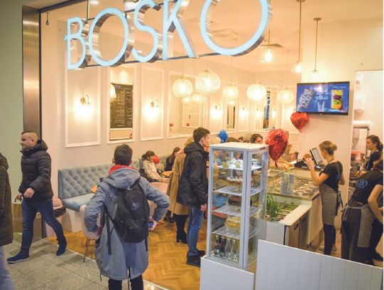 Małe Przedsiębiorstwo: BOSKO – Lody własnej produkcji