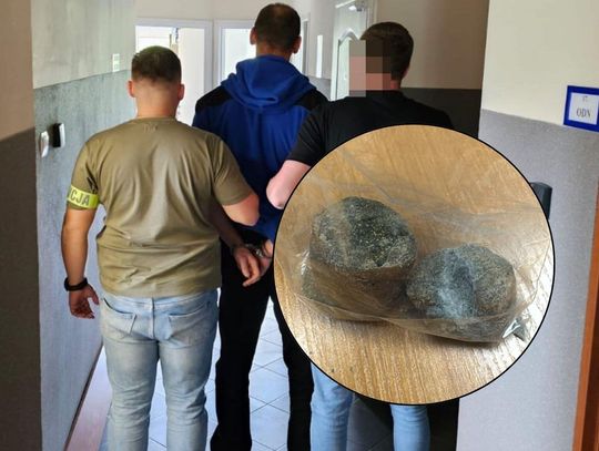 Mężczyzna wrzucał do kojca petardy i kiełbasę z trutką. Chciał otruć labradory sąsiada