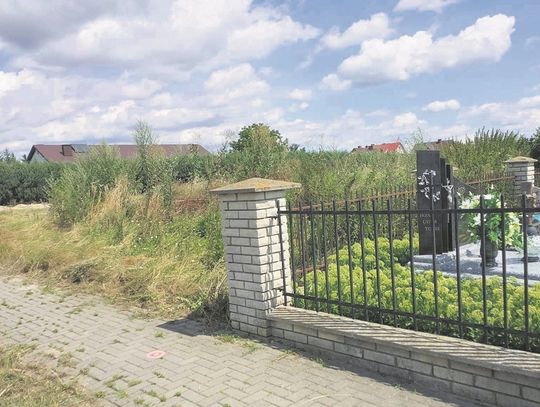 Działkę obok cmentarza w Werbkowicach porastają suche, wysokie trawy.