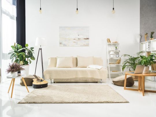 Mieszkanie styl skandynawski - czym się charakteryzuje ten styl?