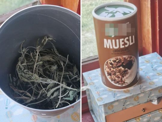 W wynajmowanym przez mężczyznę domu policjanci zabezpieczyli blisko 100 porcji dilerskich marihuany.