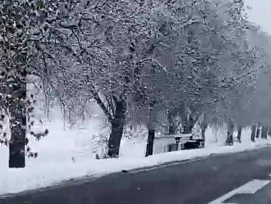 Warto zwolnić, by dojechać do celu. Ukraiński kierowca nie zapanował nad pojazdem i zjechał do rowu.