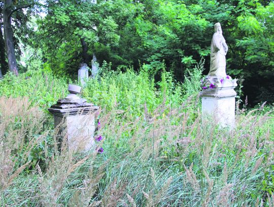 Na cmentarzu prawosławnym w Hopkiem przepiękne nagrobki porosły chaszcze.

