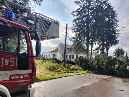 W poniedziałek (27 lipca) po południu nad powiatem zamojskim przeszła gwałtowna burza.