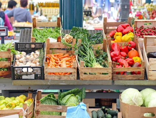 Kilka tygodni temu rolnicy zostali z tonami ziemniaków. Teraz podobne kłopoty mają plantatorzy kapusty. Ostrzegają, że warzyw nie zbiorą i pozwolą im zgnić.