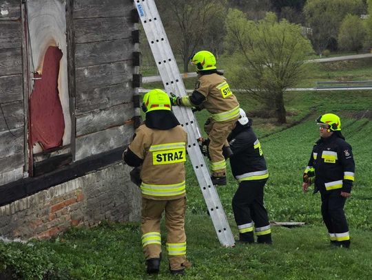 6 kwietnia strażacy odebrali kilkanaście wezwań do usunięcia skutków nawalnego wiatru w różnych miejscach powiatu hrubieszowskiego.