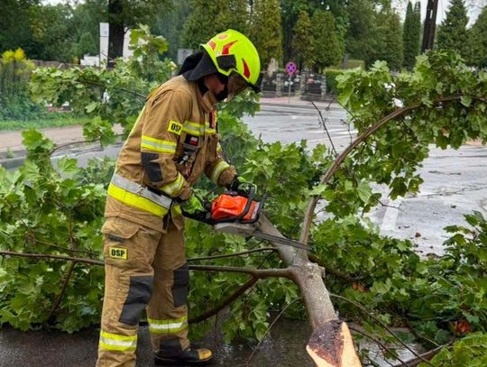Najwięcej pracy ratownicy mieli w samym Biłgoraju, ale interwencje były konieczne również w: Woli Małej, Woli Dereźniańskiej i Dereźni Zagrodach, Rapach Dylańskich, Hedwiżynie i Korytkowie Dużym, Olszance oraz Lipinach Dolnych i Lipinach Górnych-Borowinie.
