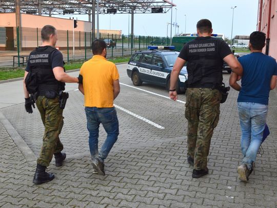 Nielegalni migranci przeszli "zieloną granicą" do Polski