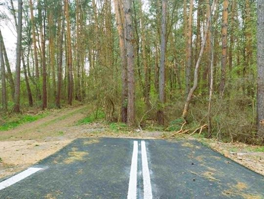 Jeden ze zjazdów z drogi powiatowej Nielisz – Michalów – Szczebrzeszyn. Już wiadomo co będzie zrobione, żeby miał rację bytu.