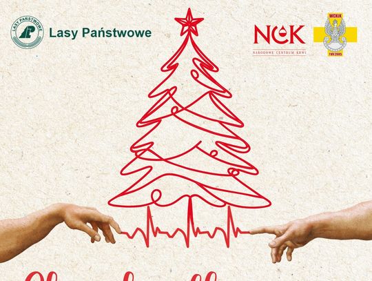 Jeśli 17 grudnia oddasz w Tomaszowie Lubelskim krew, dostaniesz w podziękowaniu choinkę od Lasów Państwowych.