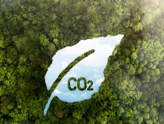 Odnawialna energia to przyszłość, która się opłaca