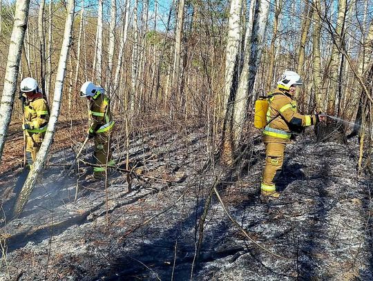 Ogień rozprzestrzeniał się w terenie leśnym, stwarzając realne zagrożenie dla większego obszaru. Na szczęście dzięki czujnemu oku pilota samolotu pożar został szybko zlokalizowany, co pozwoliło na błyskawiczne skierowanie sił i środków oraz podjęcie działań gaśniczych” – relacjonują druhowie z OSP K