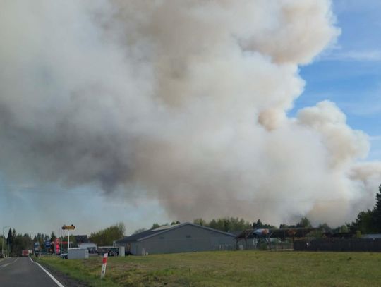 Ogromny pożar lasu w powiecie biłgorajskim. 200 strażaków walczy z żywiołem [ZDJĘCIA]