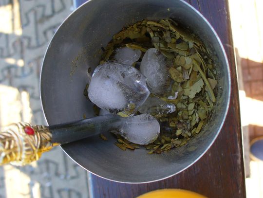 Orzeźwiająca Yerba Mate Green